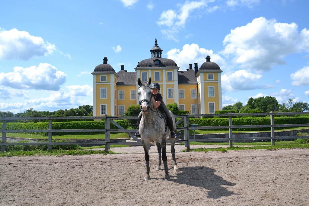 Strömsholms slott med häst